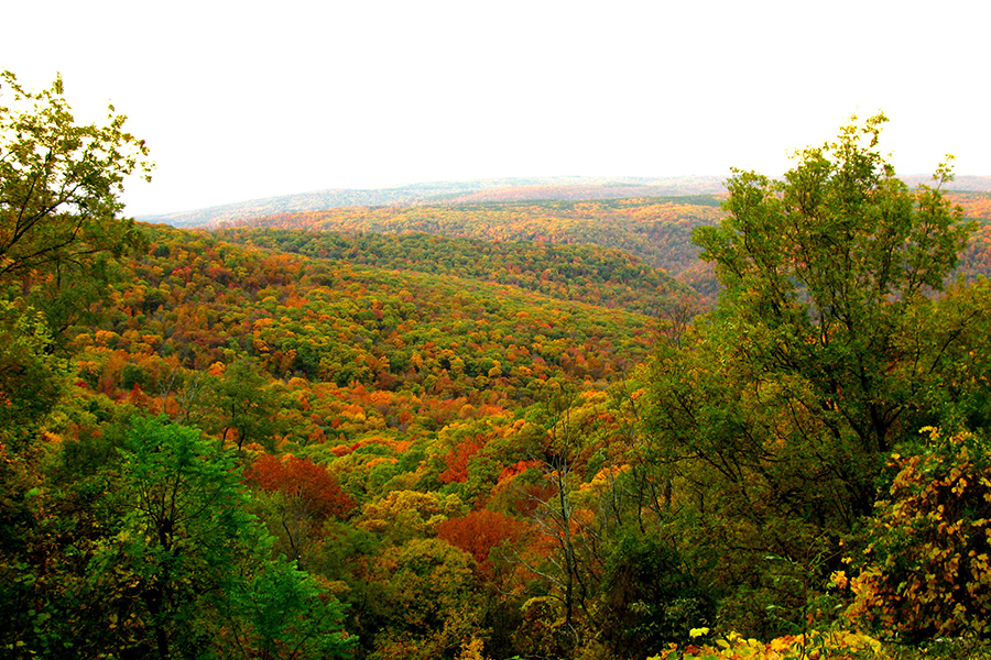 Northwest Arkansas in the Fall
