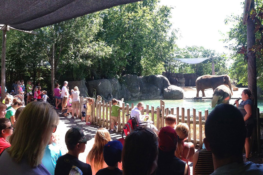 8. Cincinnati Zoo & Botanical Garden