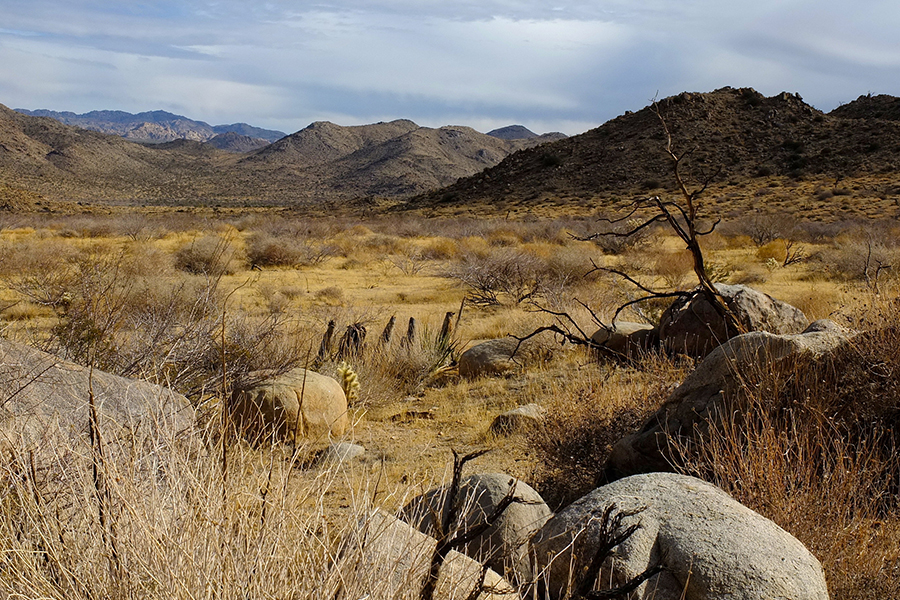 Great Plains (Rohan)