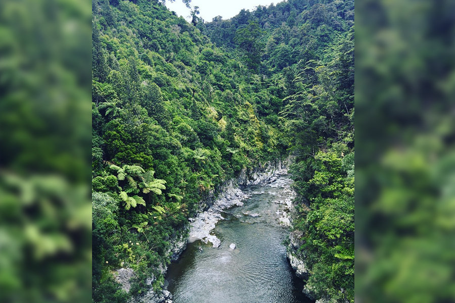 Kaitoke Regional Park (Rivendell)