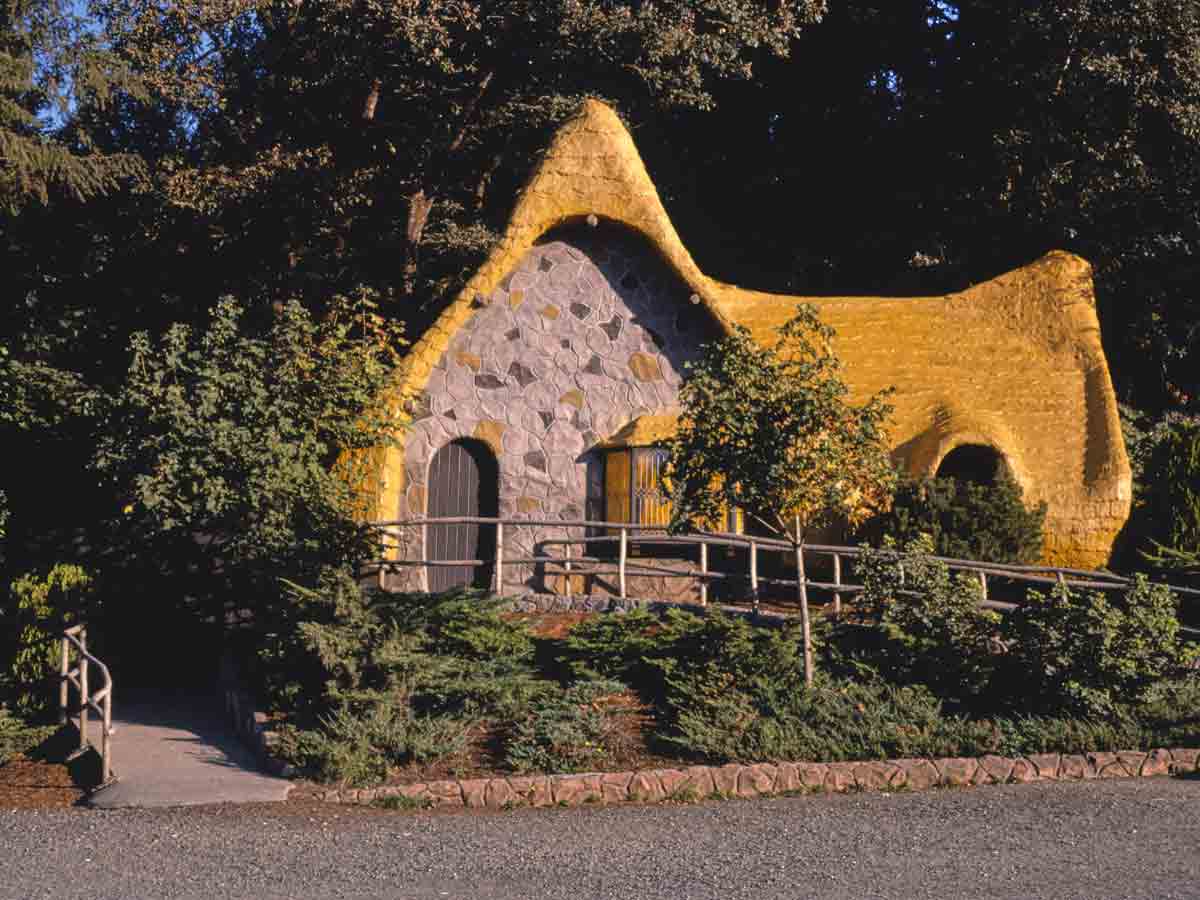 3. Enchanted Forest Theme Park