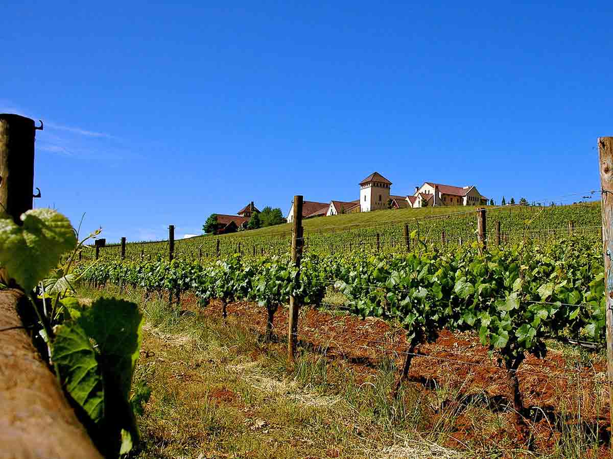 4. King Estate Winery