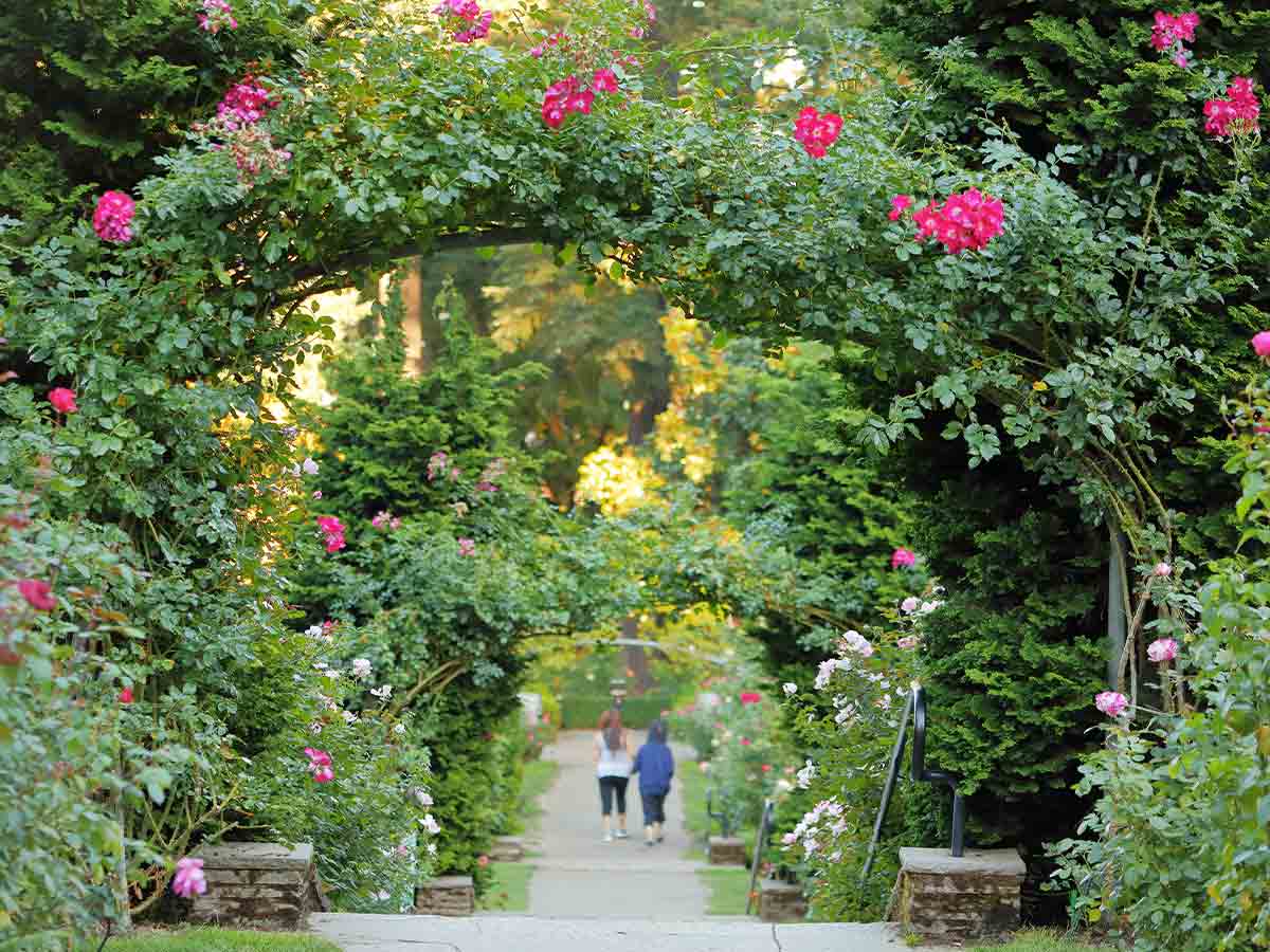 2. International Rose Test Garden