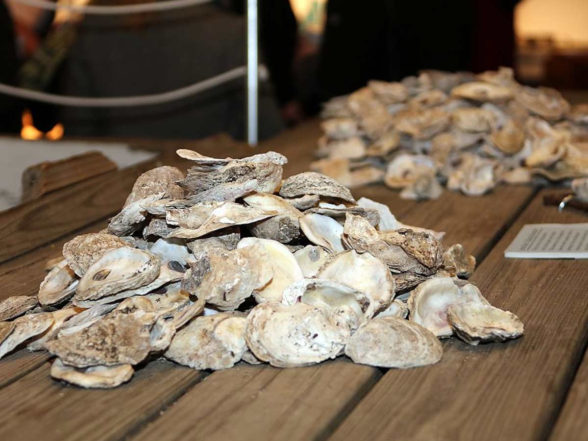 3. Attend an Oyster Roast