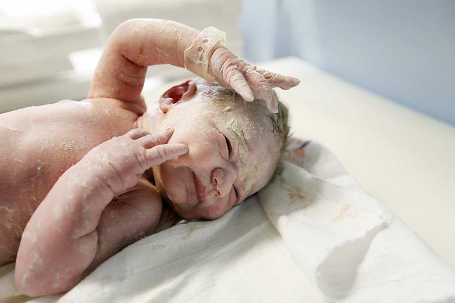 4. Placenta