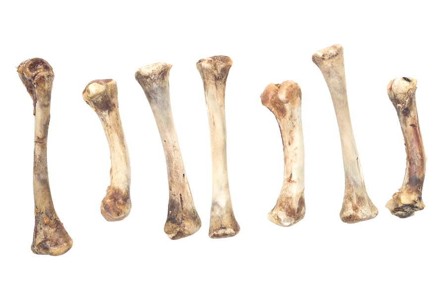 7. Chicken Bone Marrow