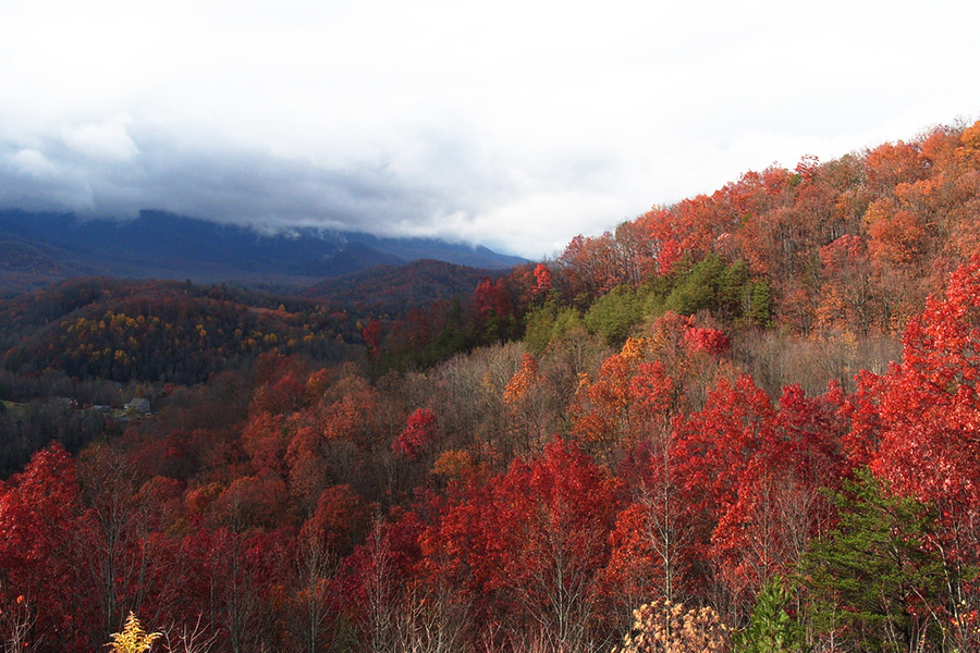 6. The Great Smoky Mountains
