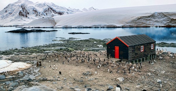 Penguins stand around a small research station near the water on the coast of Antarctica.