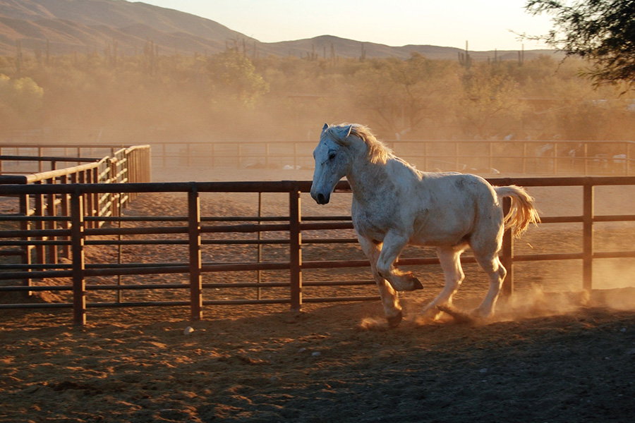 2. Tanque Verde Ranch