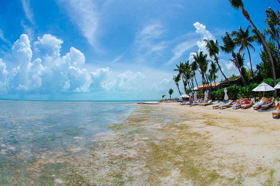 7. Little Palm Island Resort