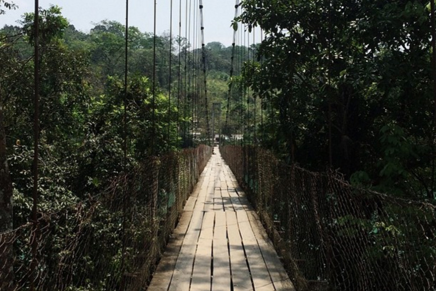 8. Lacandón Jungle