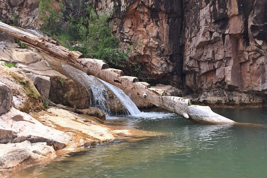 8. Ellison Creek Waterfall