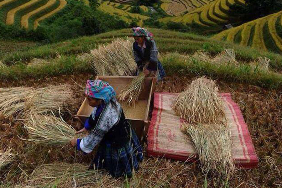10. Ruc Villages, Vietnam