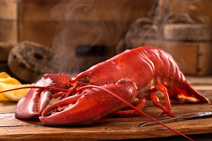 Lobster