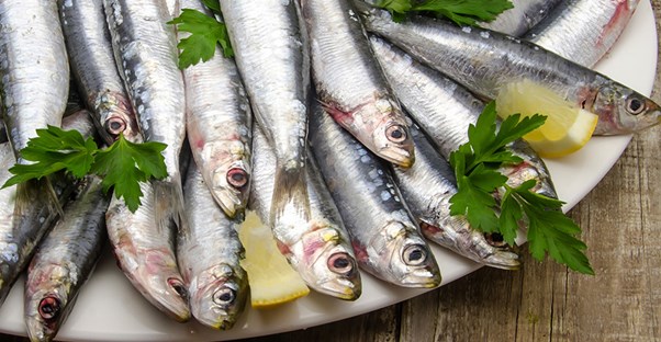 Some high-calcium sardines