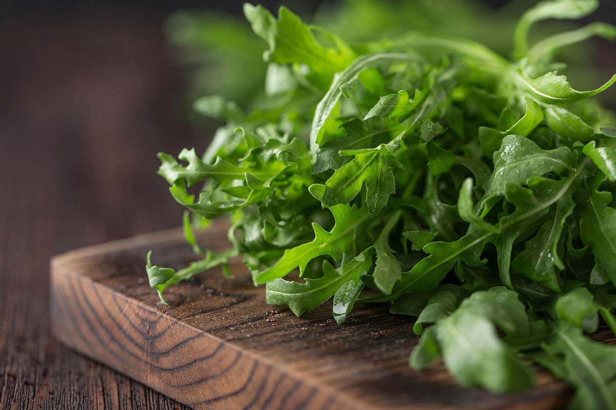 Arugula