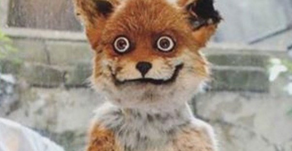 A terrible taxidermy job