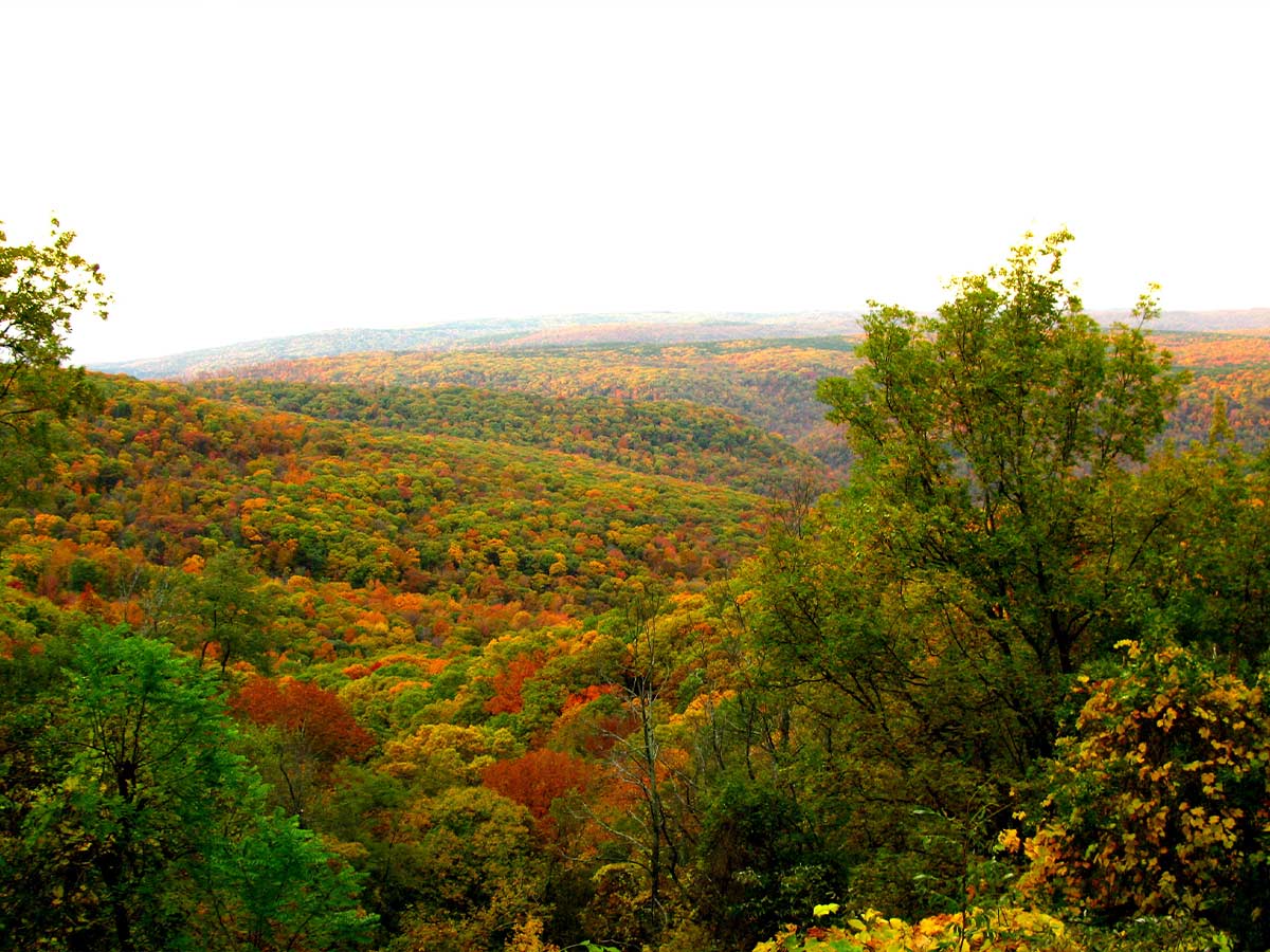 1. The Ozark Mountains