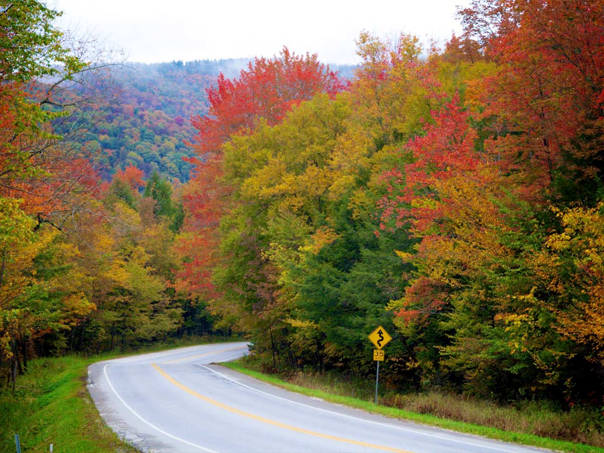10. Scenic Route 100 Byway