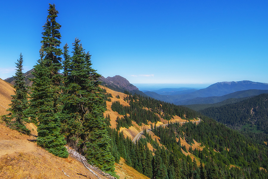 19. Olympic Peninsula