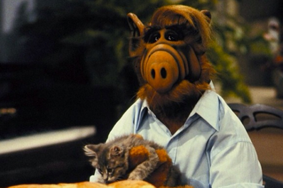 'Alf'