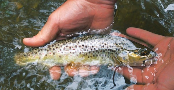 A great fishing destination