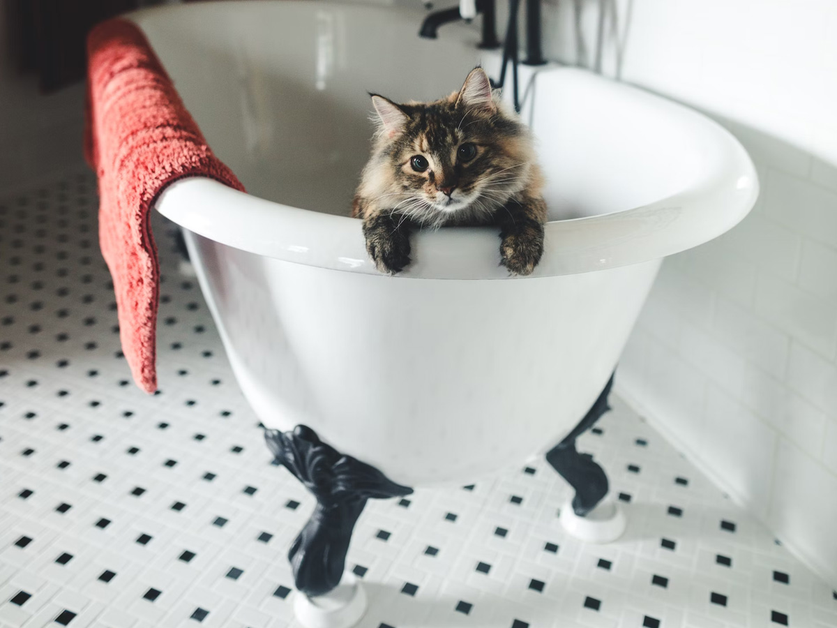 Clawfoot Tubs