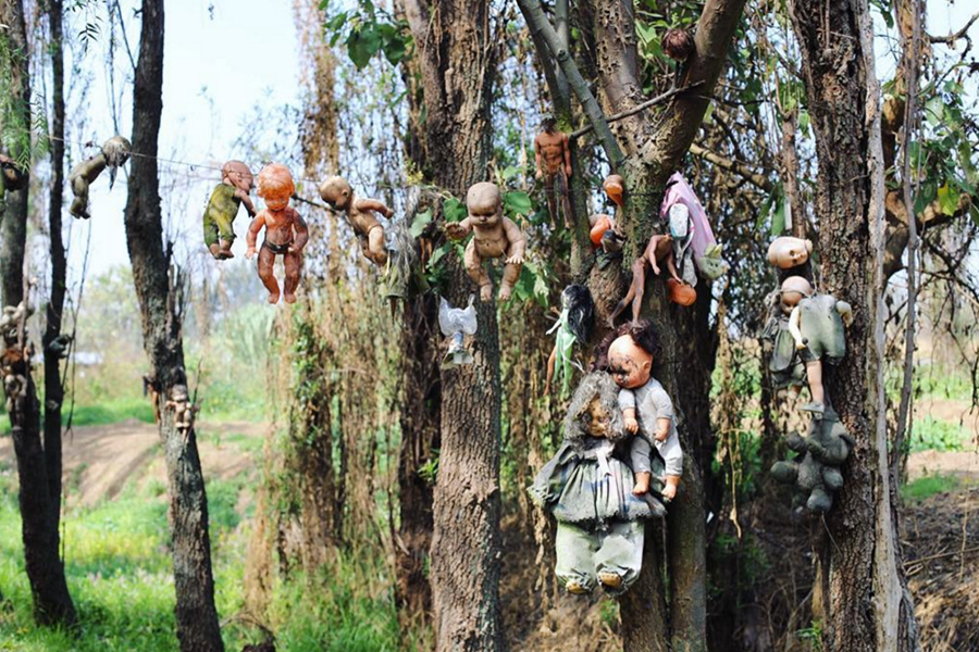 Island of the Dolls