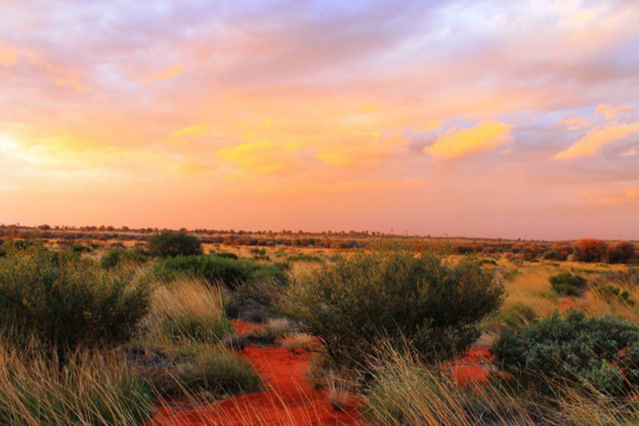 Australian Outback