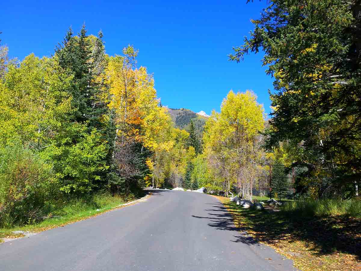 7. Alpine Loop Scenic Drive