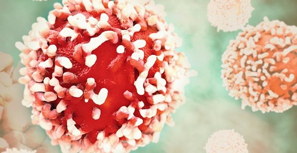 A renal cancer cell