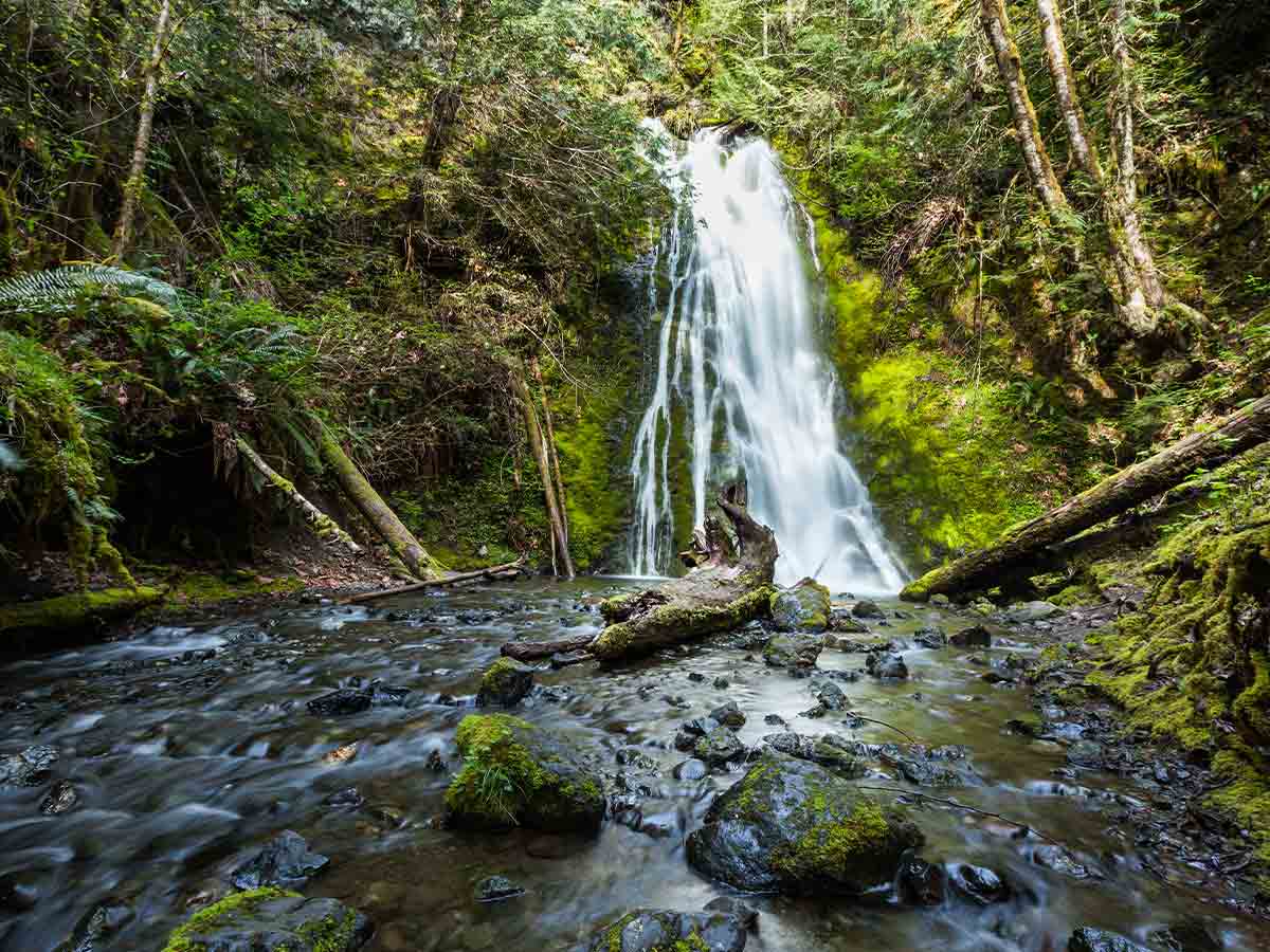 1. Olympic National Park