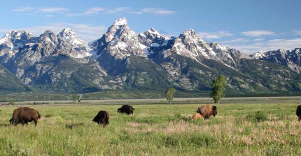 State Bucket List Wyoming