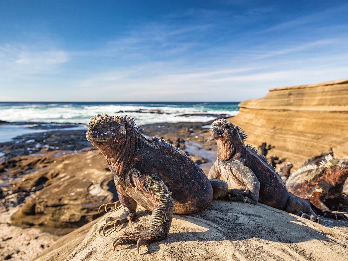 Galapagos