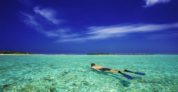 A swimmer snorkels the clear waters of Bora Bora.