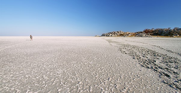 Makgadikgadi Pan is a large salt flat in Botswana.
