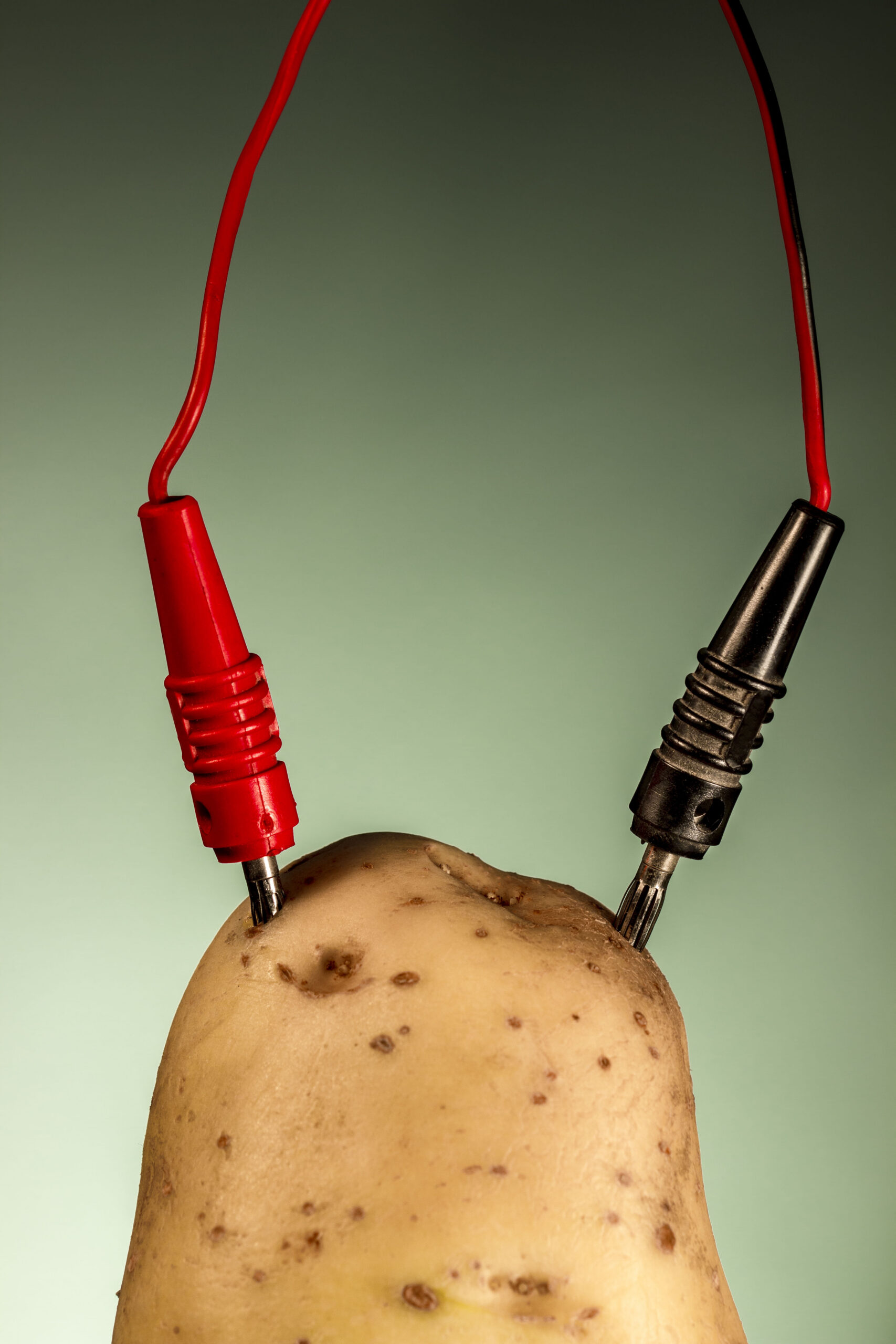 Potato Batteries