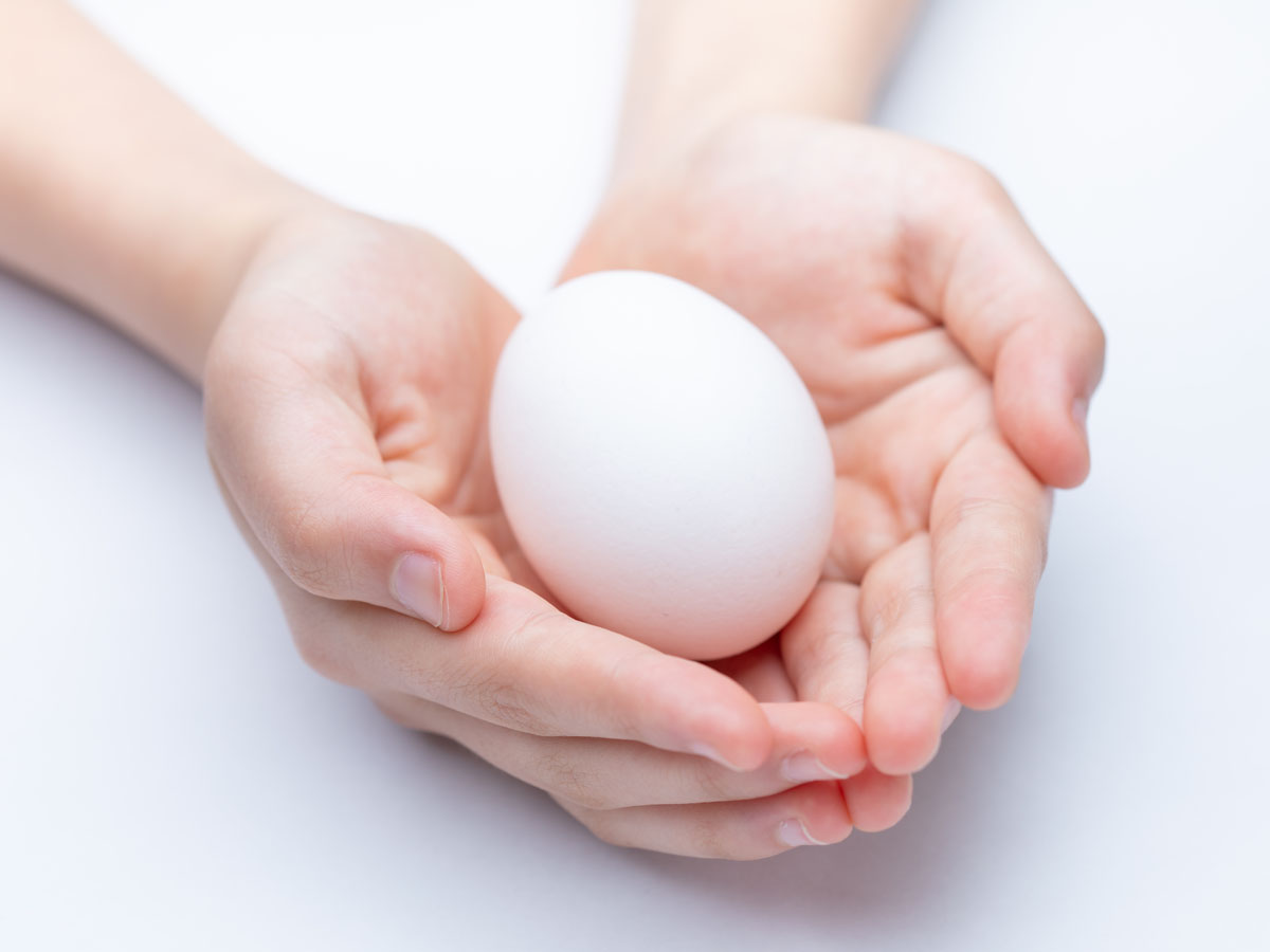 Caring for an Egg Baby