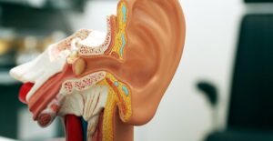 earache terms