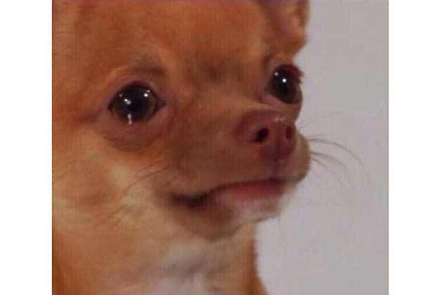 Seeing Back to School Commercials