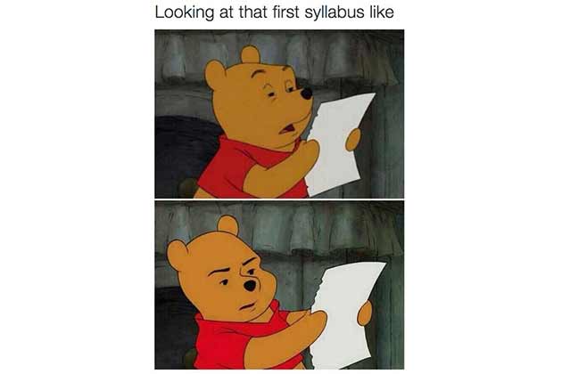 Looking at the Syllabus