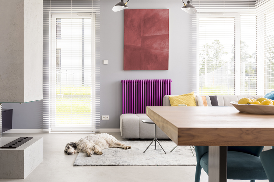 Try Colorful Accents