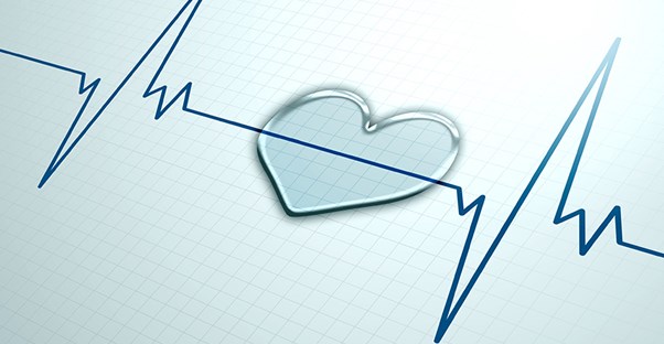 heart murmur grading