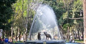 A plaza in the Coyoacan district of Mexico City features a fountain with a statue of pigs.