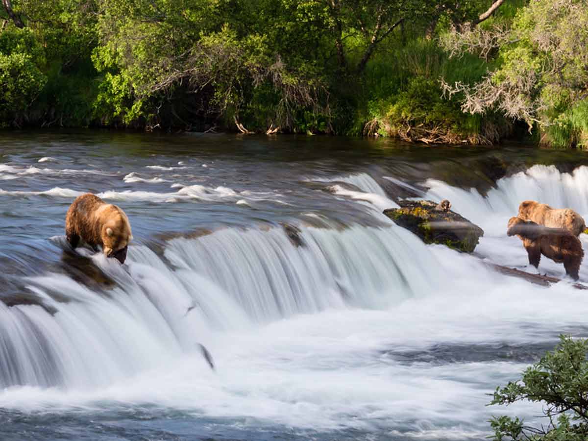 10. Brooks Falls