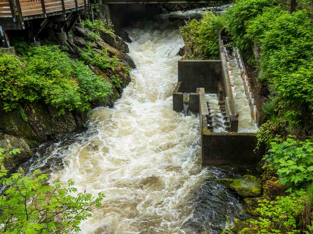 9. Ketchikan Fish Ladder