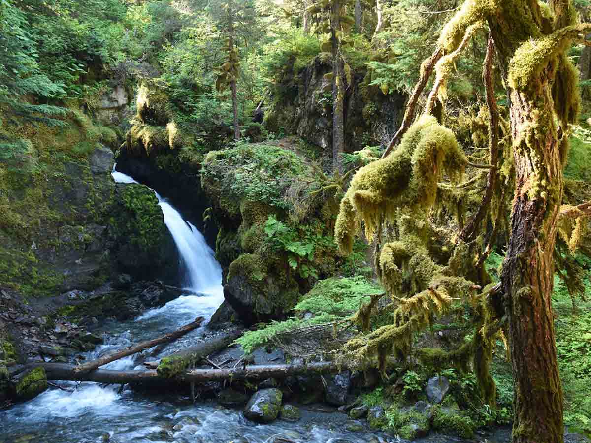 4. Virgin Creek Falls