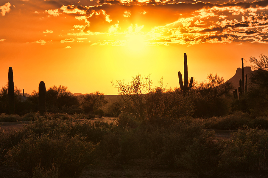 Phoenix, Arizona