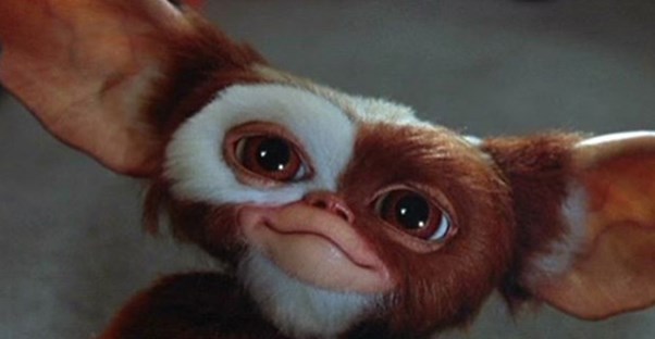 Gizmo the gremlin
