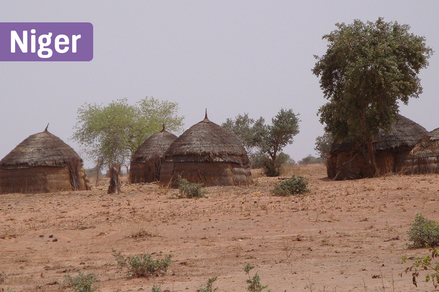 Niger